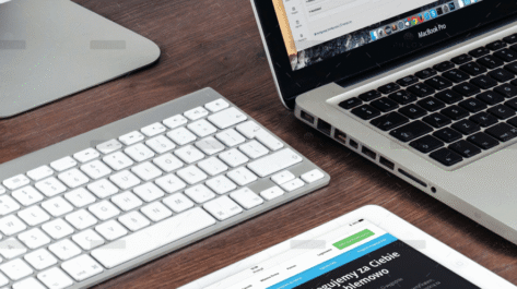 demo-attachment-655-pexels-pixabay-39284